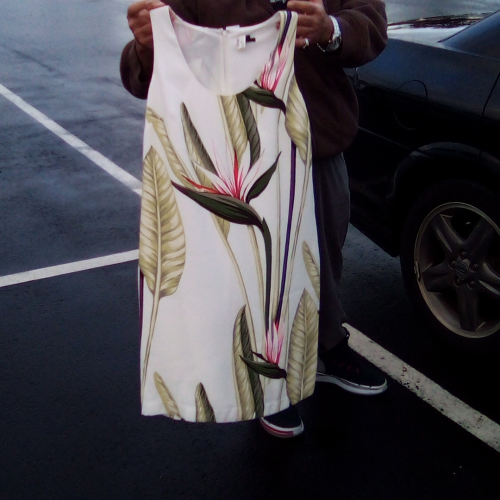 NWT Ann Taylor dress size 6